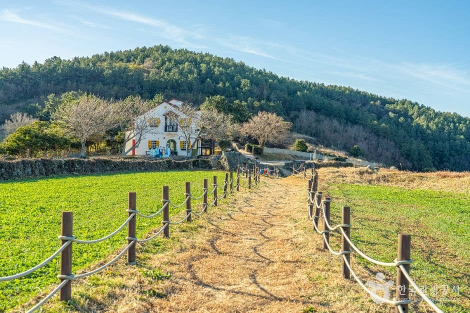 Spring Waltz Drama Filming Location