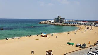 안목해변 커피거리